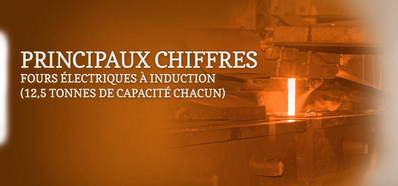 fours électriques à induction